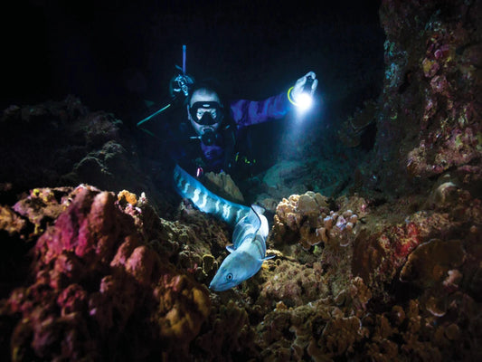 PADI Night Diver